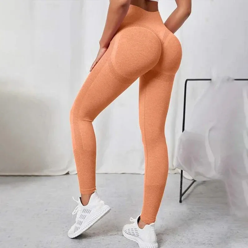 Gym Women Clothing. Women's Gym Clothes & Workout Clothes.